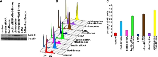 FIGURE 5.