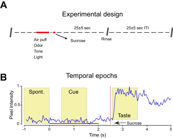 Figure 2—figure supplement 1.