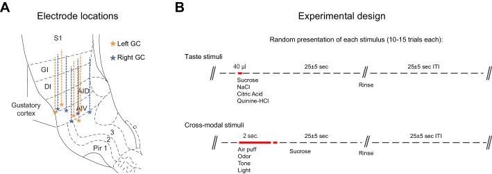 Figure 3—figure supplement 1.