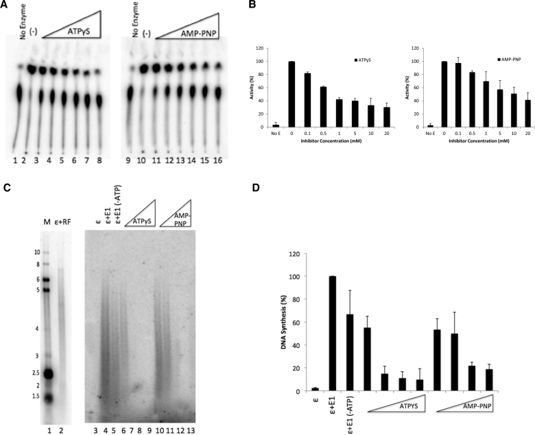 Figure 6.