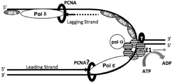 Figure 8.