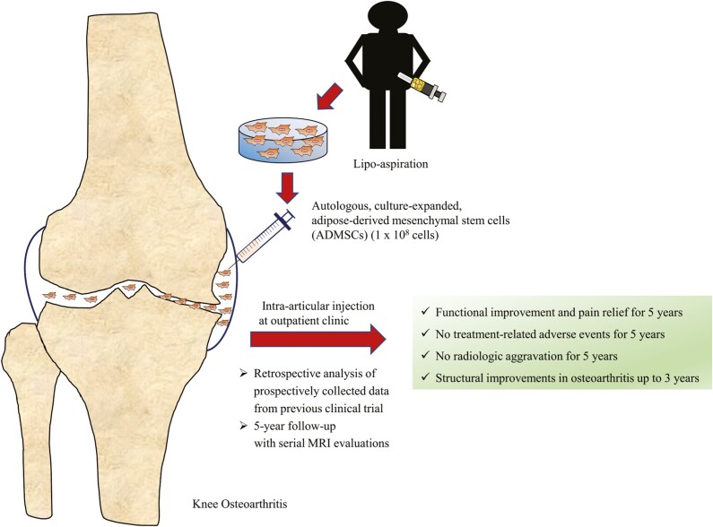 Graphical Abstract