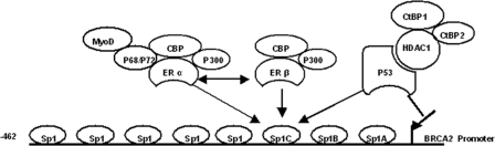 FIGURE 7.