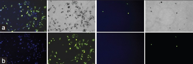 Figure 3(a, b)