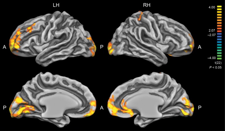 Figure 1.