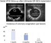 Graphical Abstract
