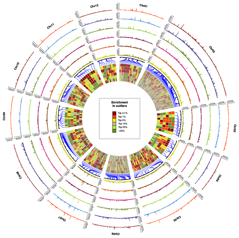 Fig. 4