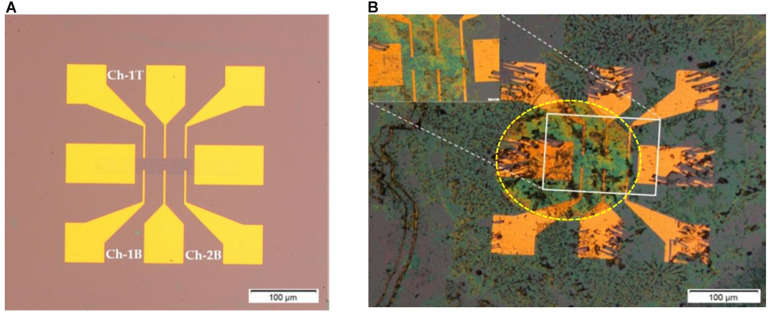 FIGURE 2