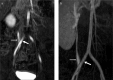 Figure 7. a, b.