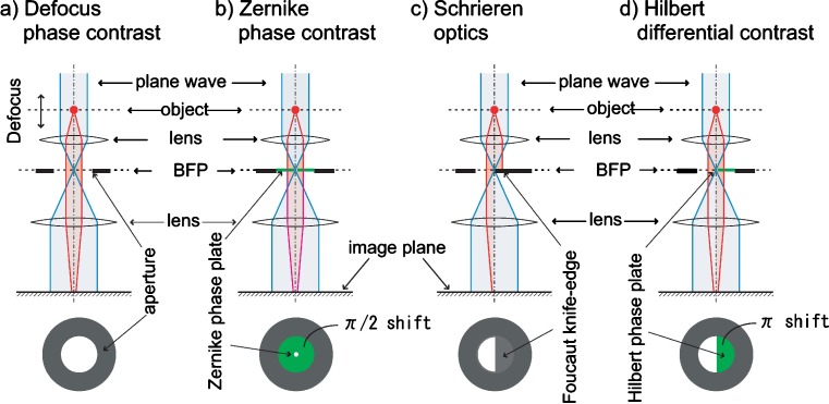 Fig. 1