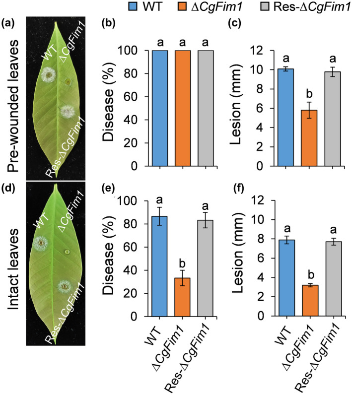 FIGURE 2