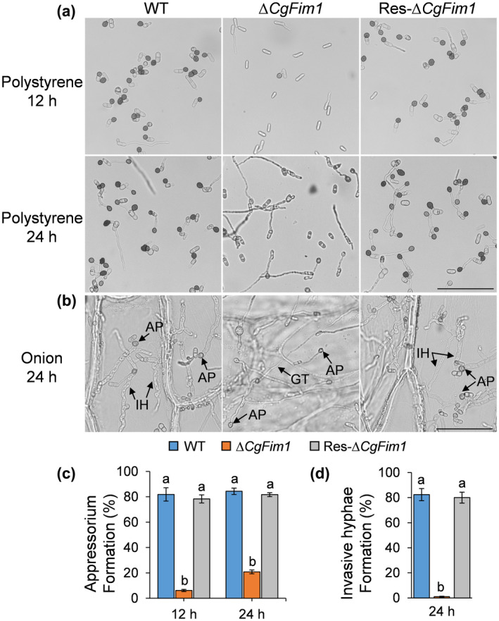 FIGURE 3