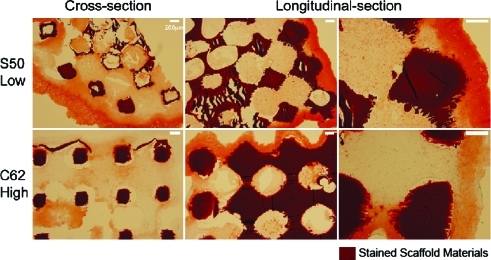 FIG. 6.