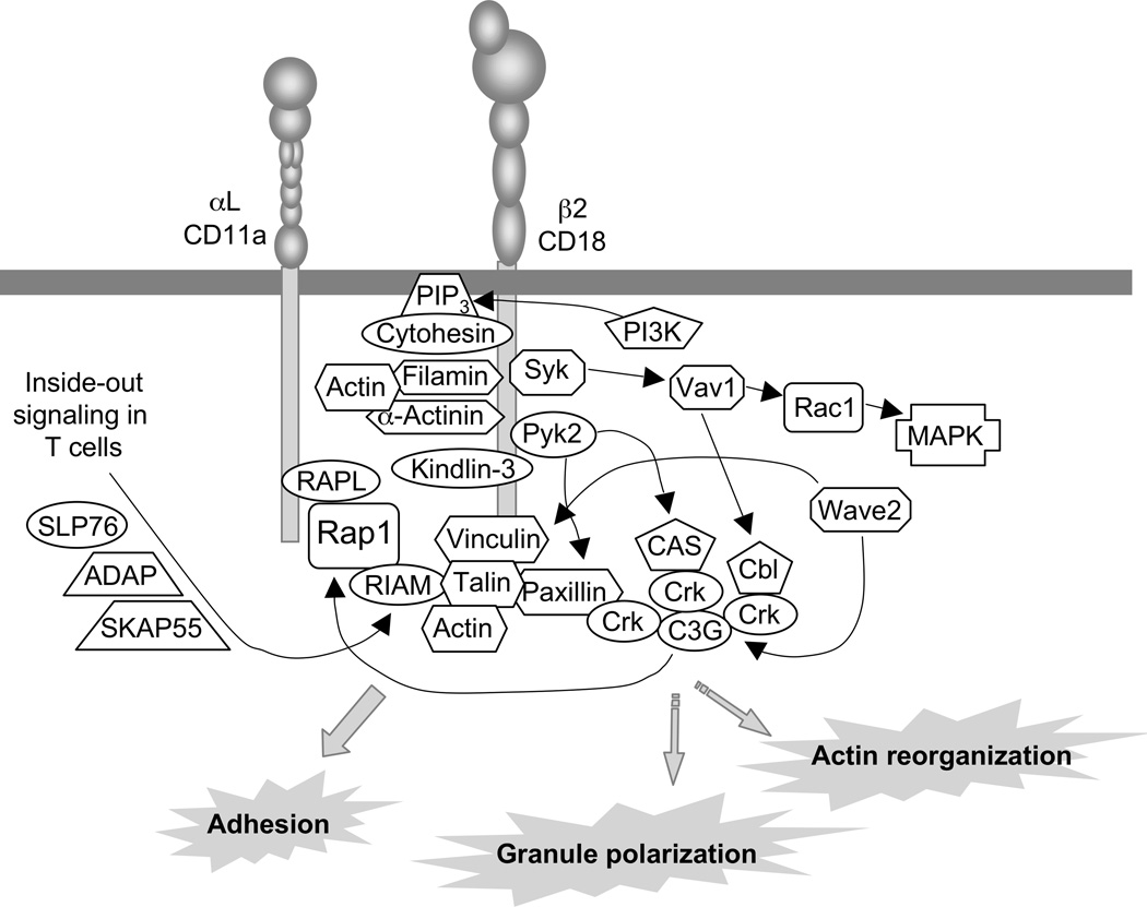 Figure 11.9B.2