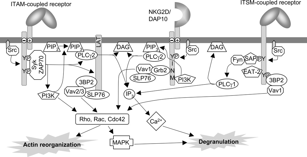 Figure 11.9B.1