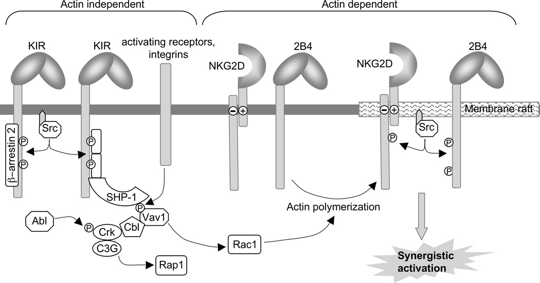 Figure 11.9B.3