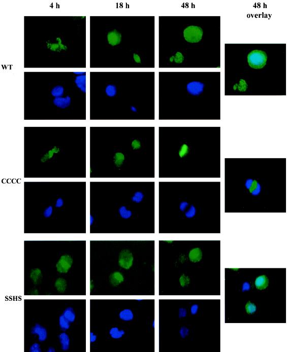 FIG. 3.