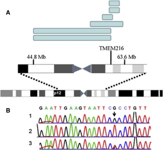 Figure 2