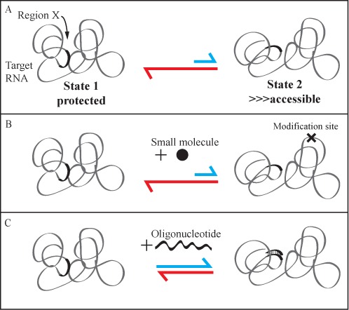 Figure 8.