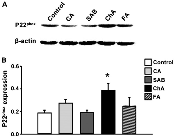 Figure 5.