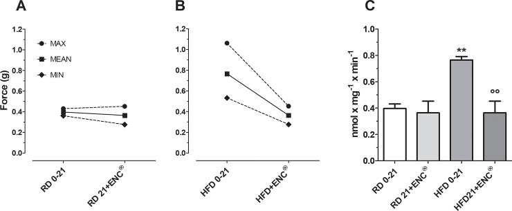 Fig 10