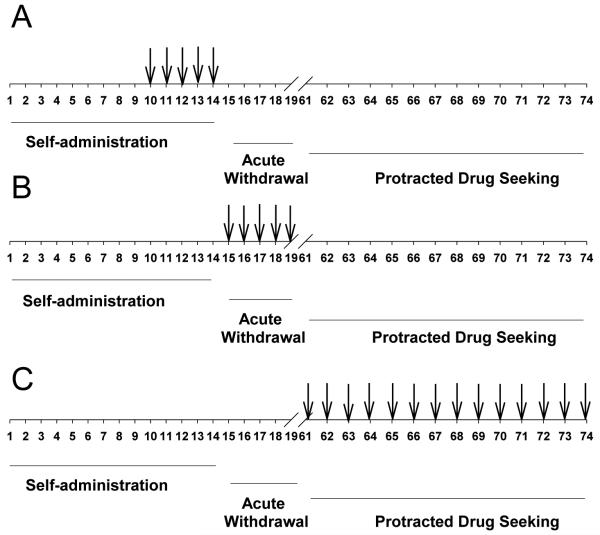 graphic file with name nihms-300487-t0011.jpg