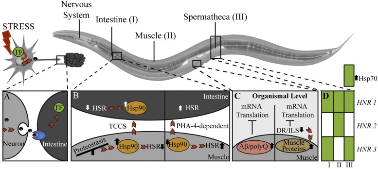 Fig. (2)