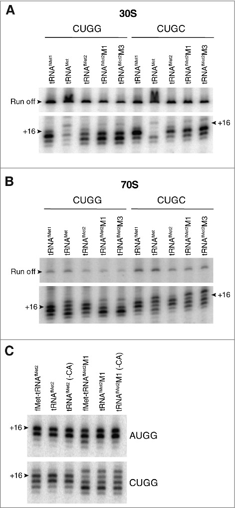 Figure 5.