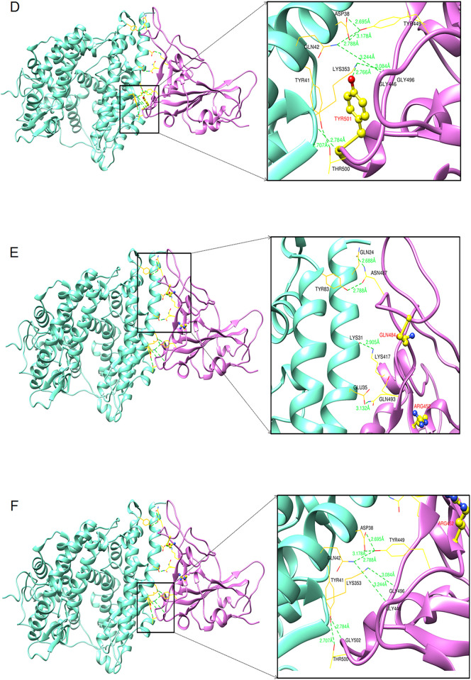 Fig. 9