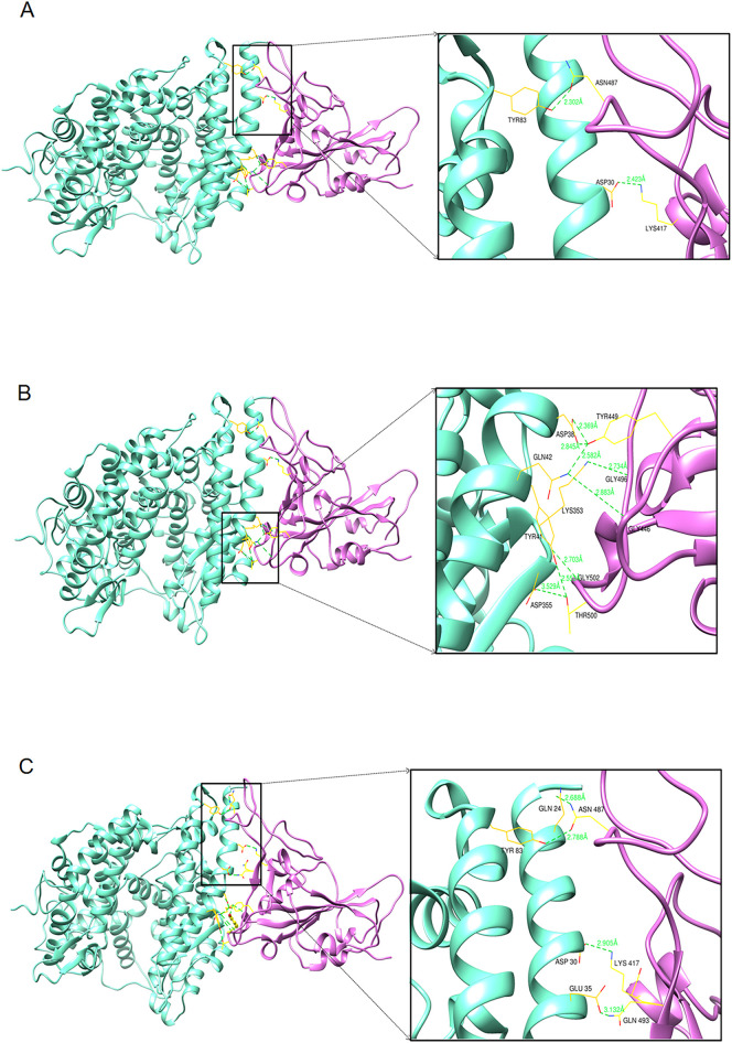 Fig. 9