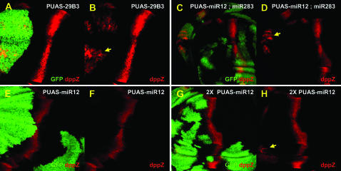 Figure 2.—