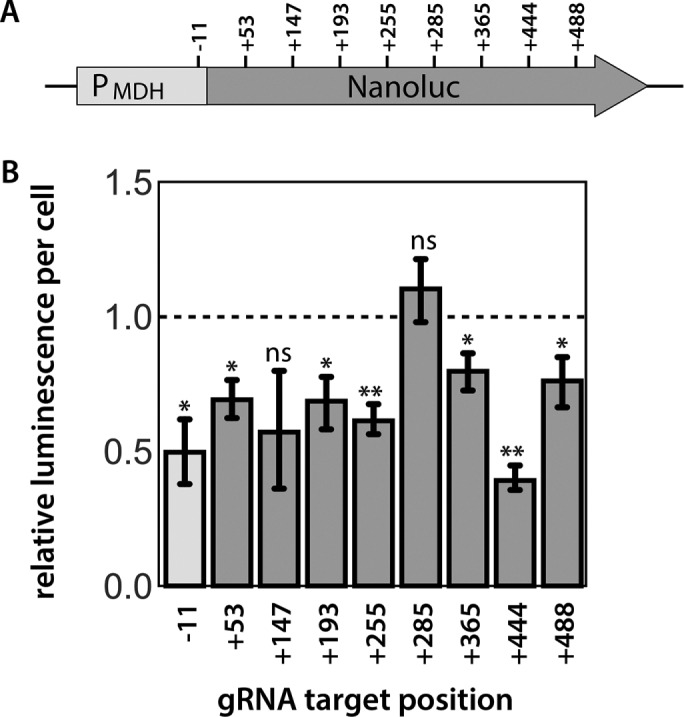 FIGURE 2: