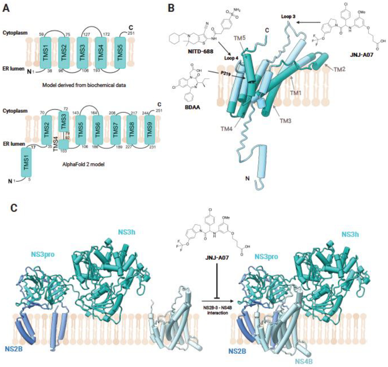 Figure 4.