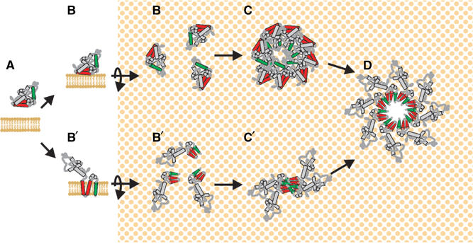 Figure 5