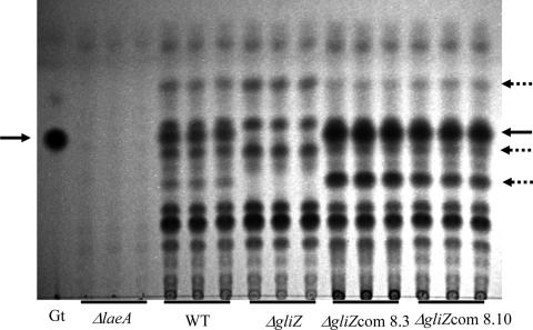 FIG. 2.