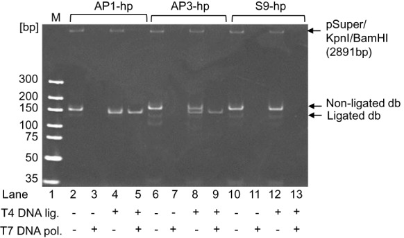 Figure 3.