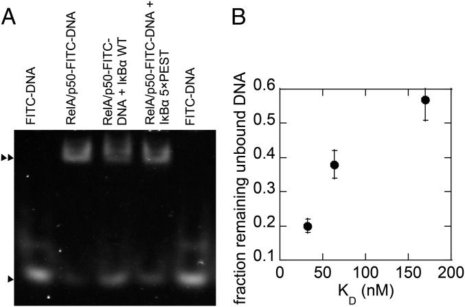 Fig. S2.