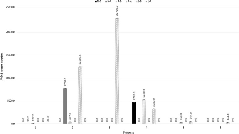 Fig. 2