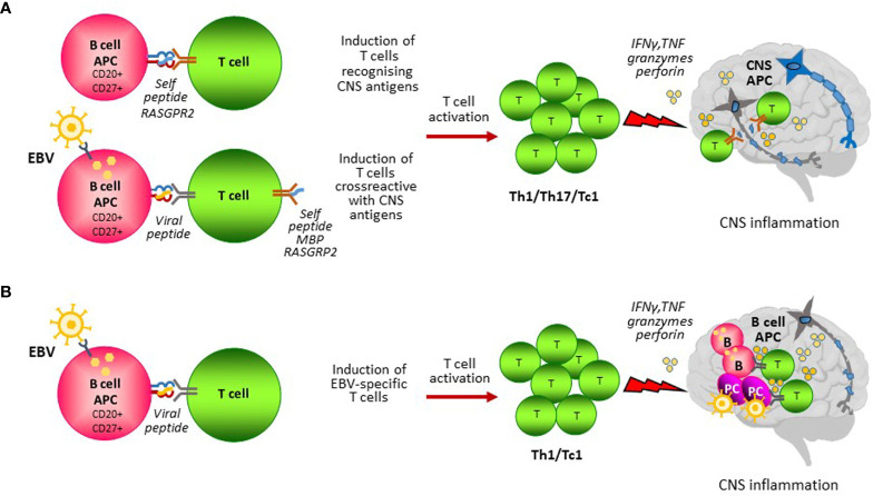 Figure 1