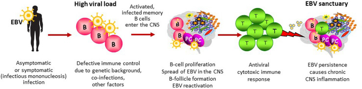 Figure 3