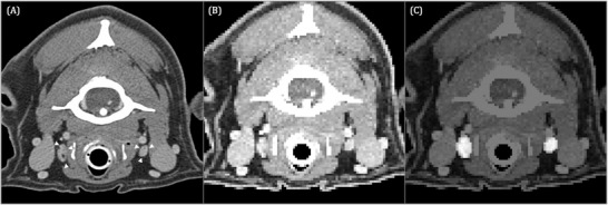 FIGURE 4