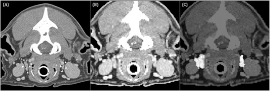 FIGURE 3