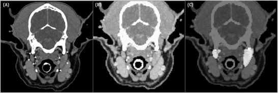 FIGURE 2