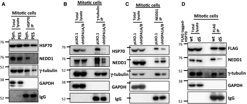 Fig. 6