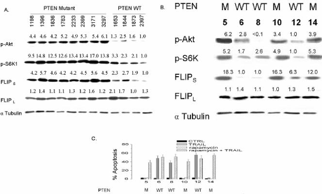 FIG. 13.