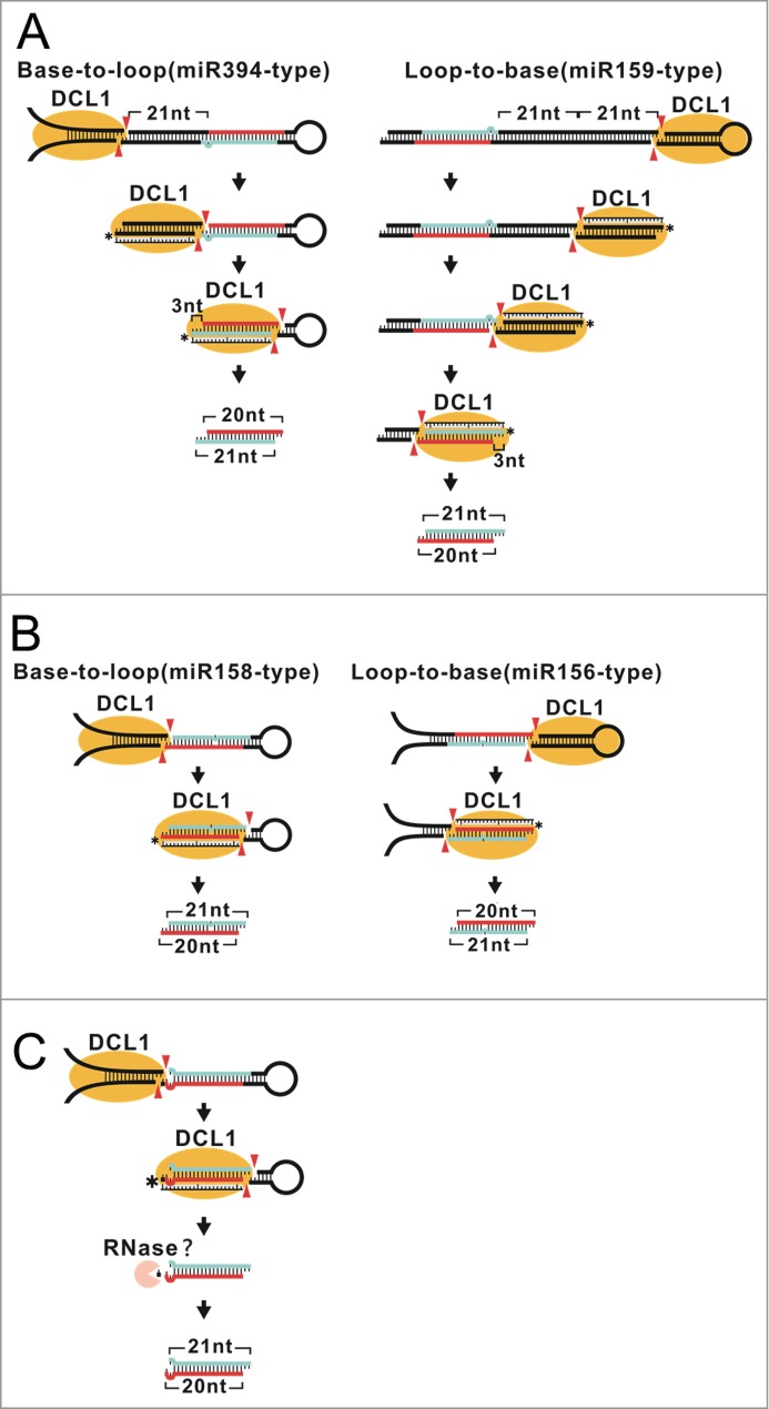 Figure 7.