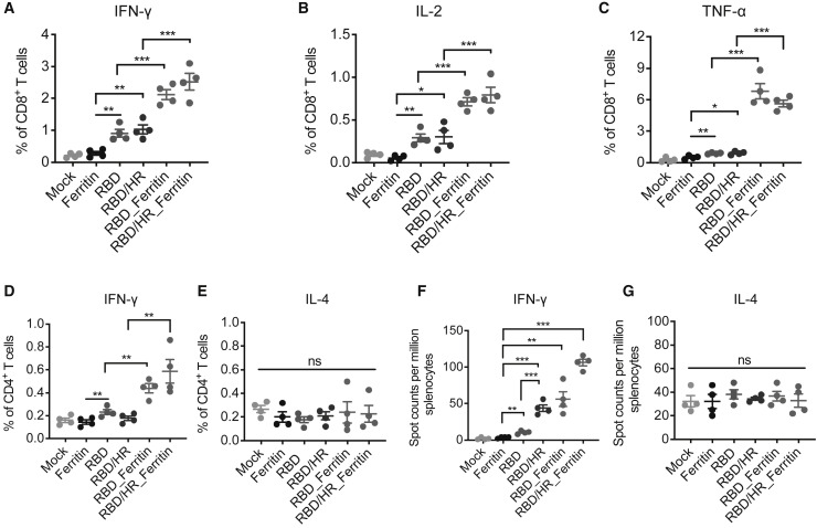 Figure 3