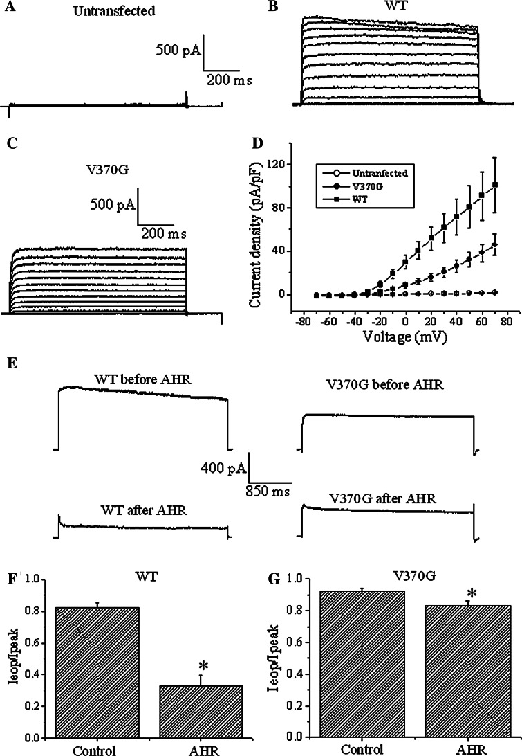 Fig. 7