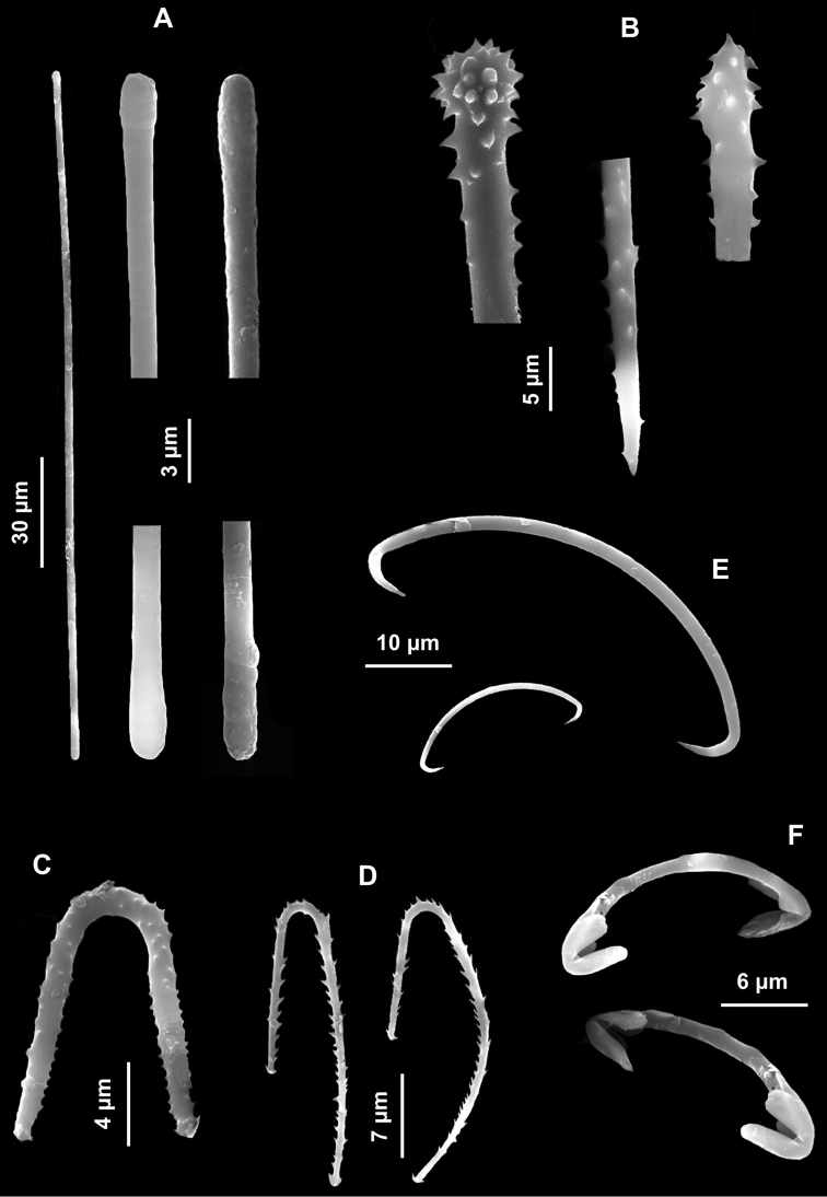 Figure 10.