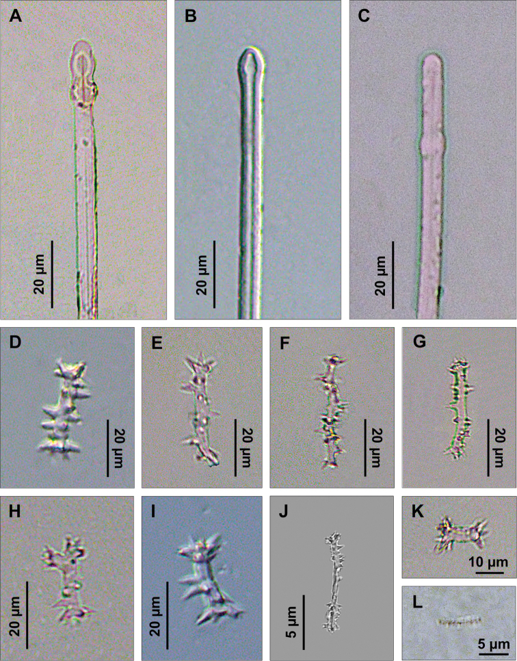 Figure 4.